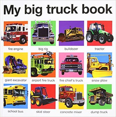My Big Truck Book